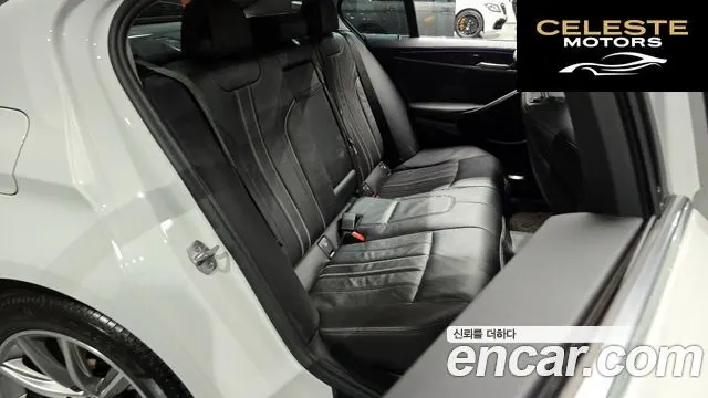 BMW Série 5 (G30) 520i Luxury 2018 — photo 12 sur 20