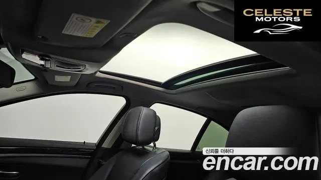 BMW Série 5 (F10) 520d 2011 — photo 19 sur 20