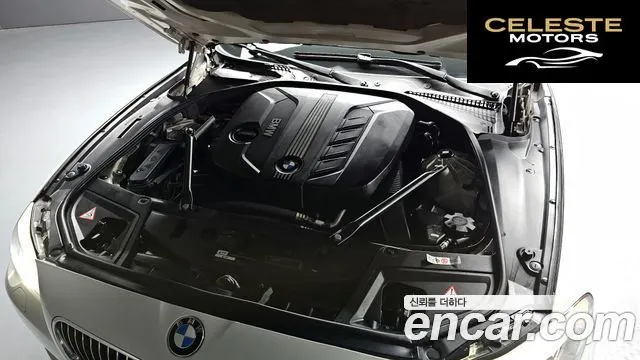 BMW Série 5 (F10) 520d 2011 — photo 6 sur 26