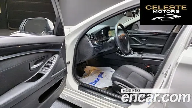 BMW Série 5 (F10) 520d xDrive 2015 — photo 11 sur 20