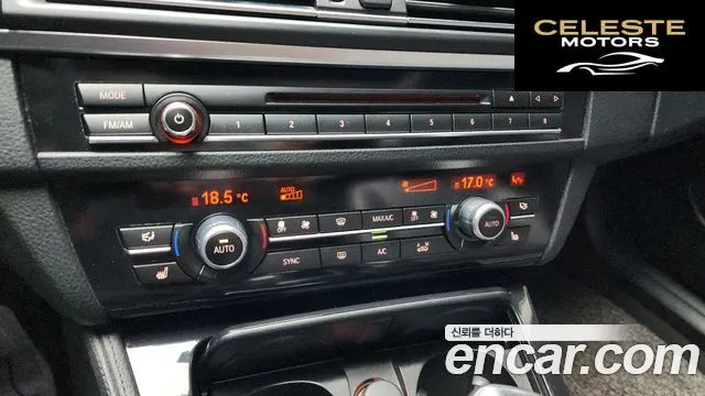 BMW Série 5 (F10) 520d xDrive 2015 — photo 16 sur 20