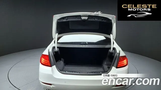 BMW Série 5 (F10) 520d xDrive 2015 — photo 20 sur 20