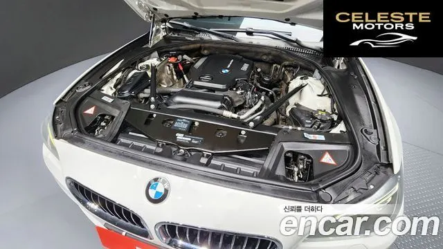 BMW Série 5 (F10) 520d xDrive 2015 — photo 6 sur 20