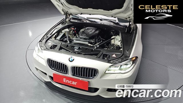 BMW Série 5 (F10) 520d M Aéro Dynamic 2016 — photo 6 sur 20