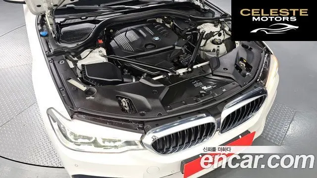 BMW Série 5 (G30) 520d M Sport Plus 2018 — photo 6 sur 20
