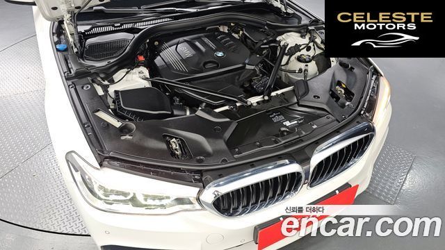 BMW Série 5 (G30) 520d M Sport Plus 2018 — photo 6 sur 20