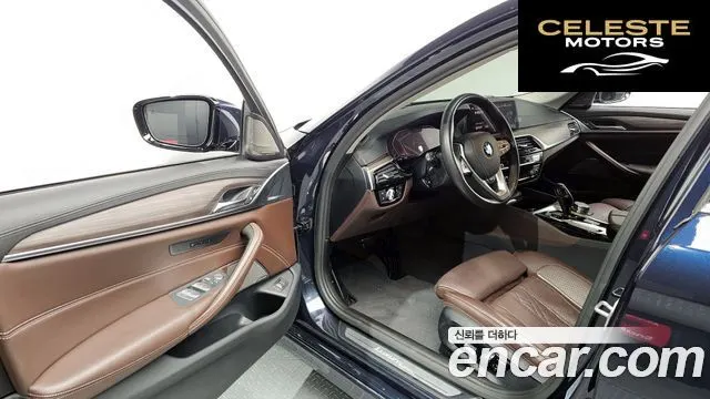 BMW Série 5 (G30) 520d Luxury Plus 2020 — photo 10 sur 20