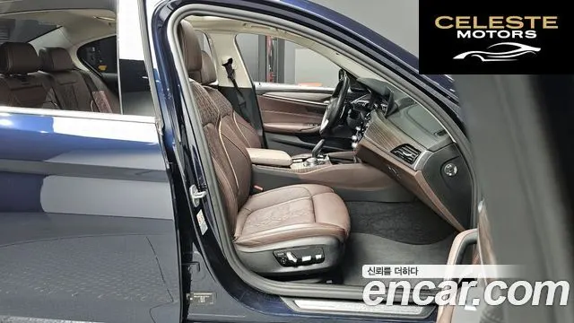 BMW Série 5 (G30) 520d Luxury Plus 2020 — photo 11 sur 20