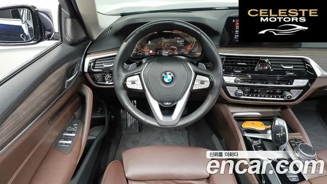 BMW Série 5 (G30) 520d Luxury Plus 2020 — photo 13 sur 20