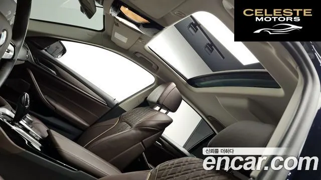 BMW Série 5 (G30) 520d Luxury Plus 2020 — photo 19 sur 20
