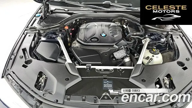 BMW Série 5 (G30) 520d Luxury Plus 2020 — photo 6 sur 20