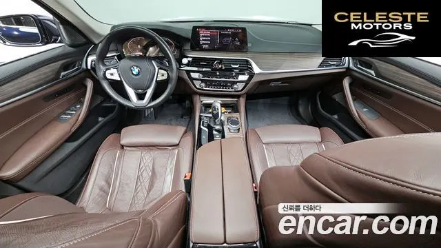 BMW Série 5 (G30) 520d Luxury Plus 2020 — photo 7 sur 20