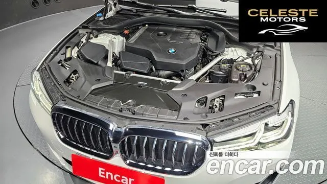 BMW Série 5 (G30) 520i Luxury 2021 — photo 6 sur 20