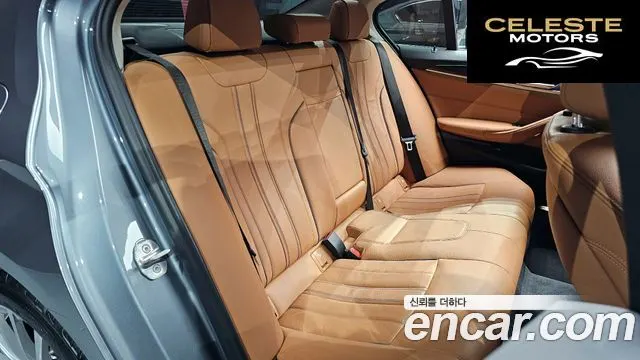 BMW Série 5 (G30) 520i Luxury 2020 — photo 12 sur 20