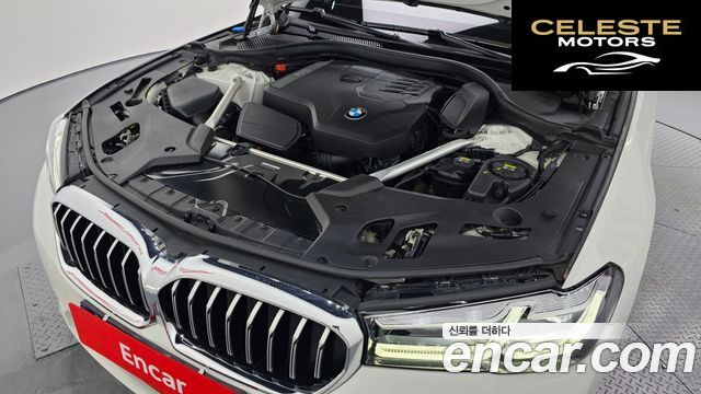 BMW Série 5 (G30) 520i Luxury 2021 — photo 6 sur 20
