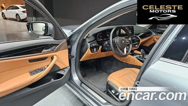BMW Série 5 (G30) 520i Luxury 2020 — photo 11 sur 20