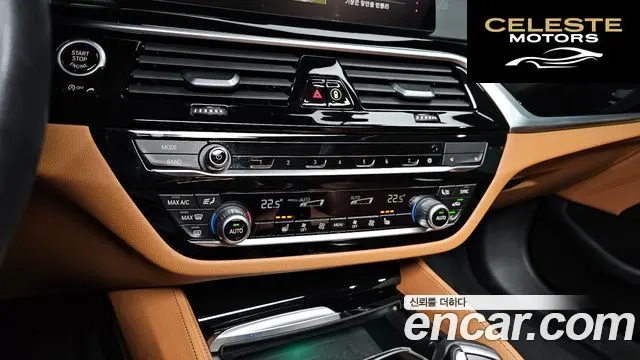BMW Série 5 (G30) 520i Luxury 2020 — photo 16 sur 20