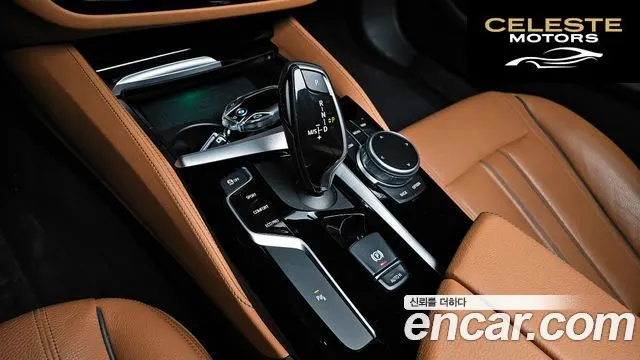 BMW Série 5 (G30) 520i Luxury 2020 — photo 9 sur 20