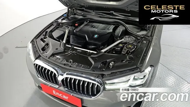 BMW Série 5 (G30) 520i Luxury 2021 — photo 6 sur 20
