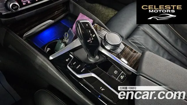 BMW Série 5 (G30) 520i Luxury 2021 — photo 9 sur 20