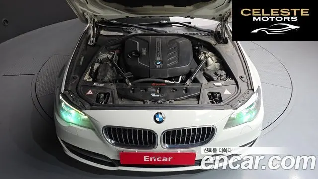 BMW Série 5 (F10) 520d 2014 — photo 6 sur 20