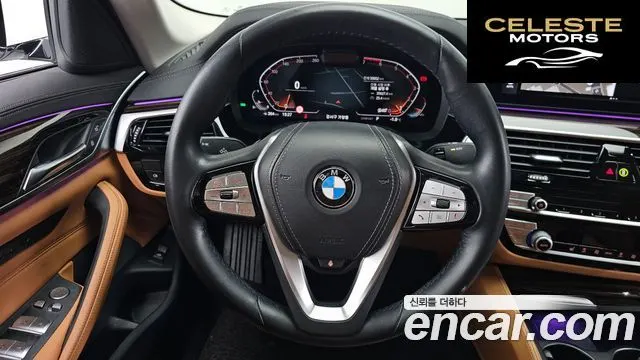 BMW Série 5 (G30) 520i Luxury 2021 — photo 13 sur 20