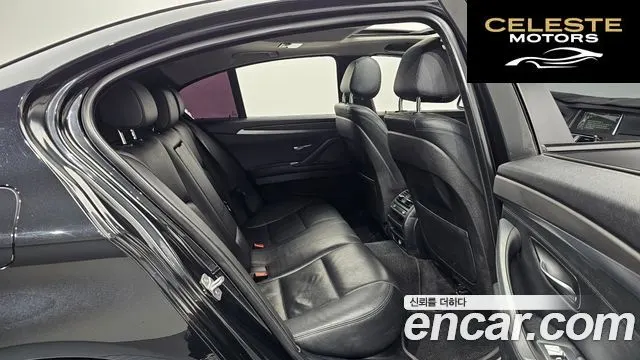 BMW Série 5 (F10) 520d xDrive 2014 — photo 12 sur 20