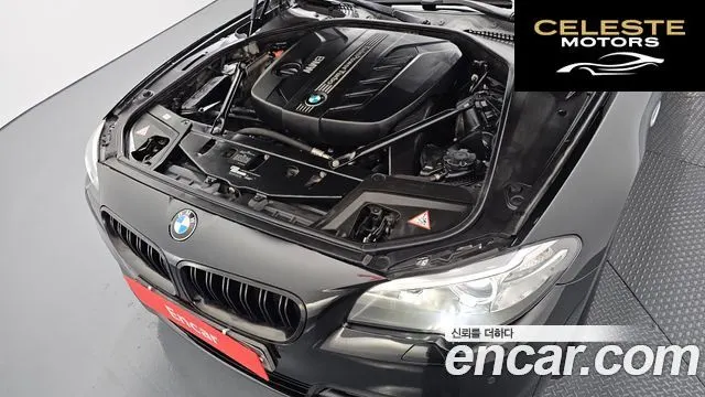 BMW Série 5 (F10) 520d xDrive 2014 — photo 6 sur 20