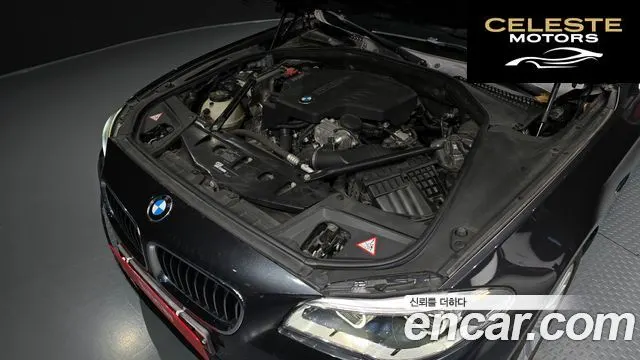 BMW Série 5 (F10) 528i Luxury Plus 2016 — photo 6 sur 20