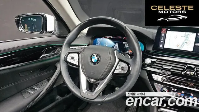 BMW Série 5 (G30) 530i xDrive Luxury 2021 — photo 13 sur 20