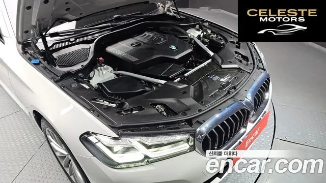BMW Série 5 (G30) 530i xDrive Luxury 2021 — photo 6 sur 20