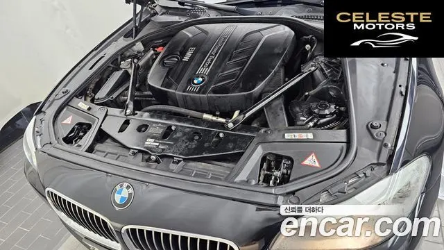 BMW Série 5 (F10) 520d 2013 — photo 6 sur 20
