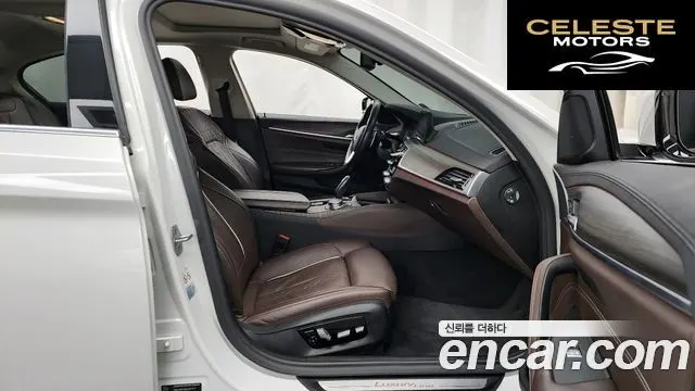 BMW Série 5 (G30) 530i xDrive Luxury Plus 2020 — photo 11 sur 20