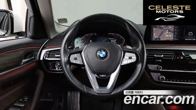 BMW Série 5 (G30) 530i xDrive Luxury Plus 2020 — photo 13 sur 20