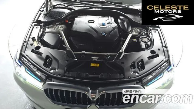 BMW Série 5 (G30) 530e Luxury 2021 — photo 6 sur 20