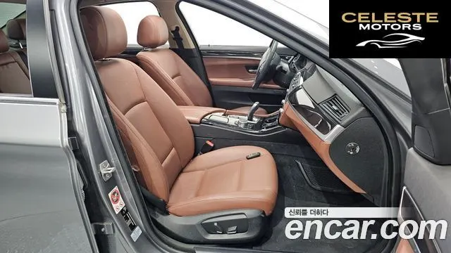 BMW Série 5 (F10) 520d xDrive 2015 — photo 12 sur 20