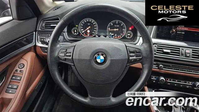 BMW Série 5 (F10) 520d xDrive 2015 — photo 13 sur 20