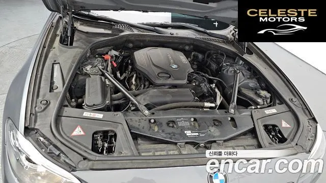 BMW Série 5 (F10) 520d xDrive 2015 — photo 6 sur 20