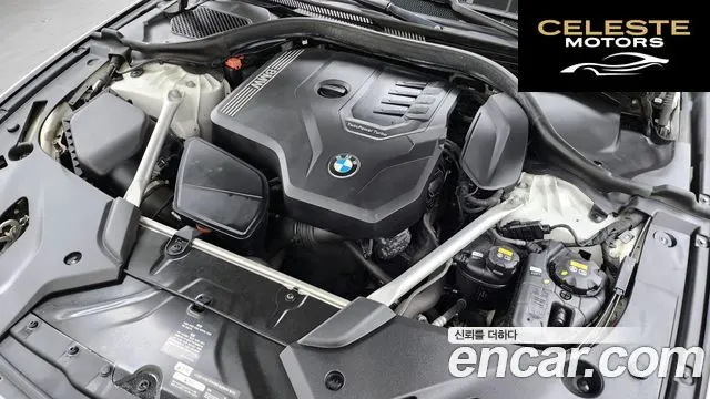 BMW Série 5 (G30) 530i xDrive Luxury Plus 2020 — photo 6 sur 20