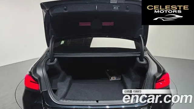 BMW Série 5 (G30) 520i Luxury 2021 — photo 19 sur 26