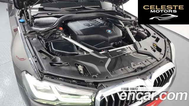 BMW Série 5 (G30) 520i Luxury 2021 — photo 6 sur 20
