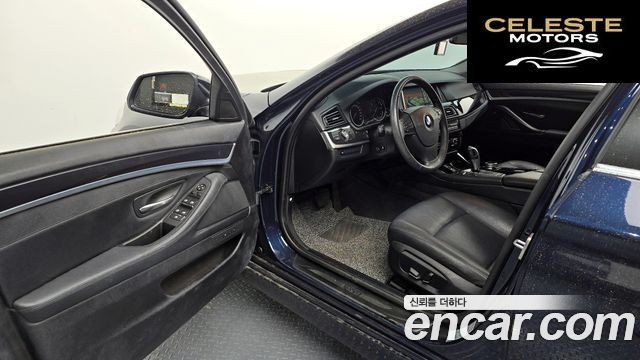 BMW Série 5 (F10) 520d xDrive 2015 — photo 12 sur 31