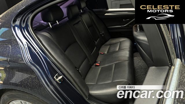 BMW Série 5 (F10) 520d xDrive 2015 — photo 17 sur 31