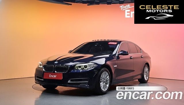 BMW Série 5 (F10) 520d xDrive 2015 — photo 31 sur 31