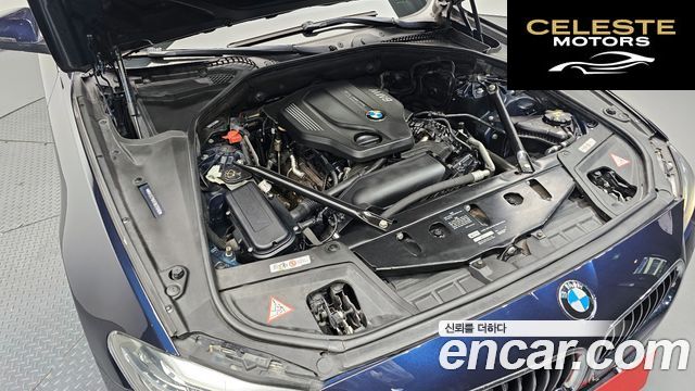 BMW Série 5 (F10) 520d xDrive 2015 — photo 5 sur 31