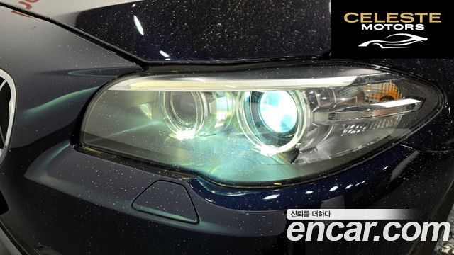BMW Série 5 (F10) 520d xDrive 2015 — photo 7 sur 31