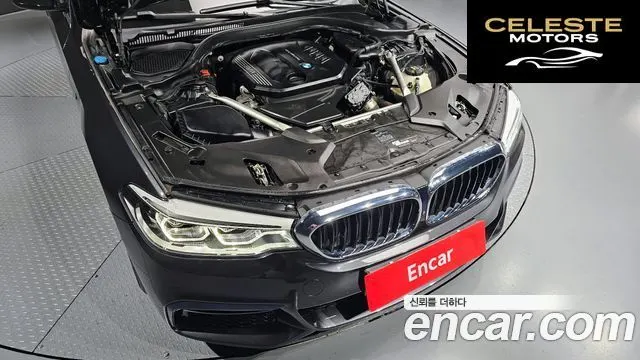 BMW Série 5 (G30) 520d M Sport Plus 2020 — photo 6 sur 20