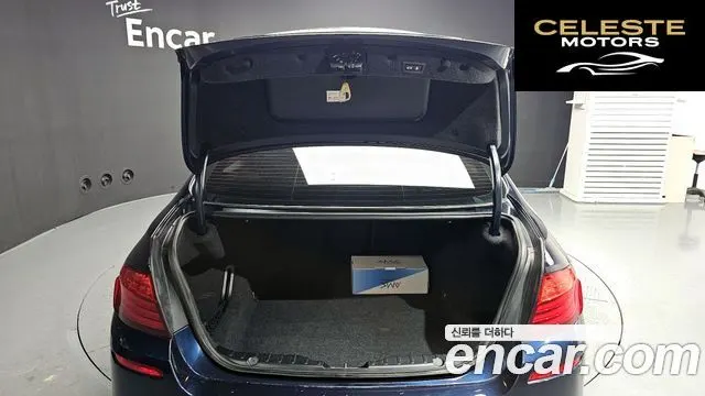 BMW Série 5 (F10) M550d xDrive 2014 — photo 20 sur 20