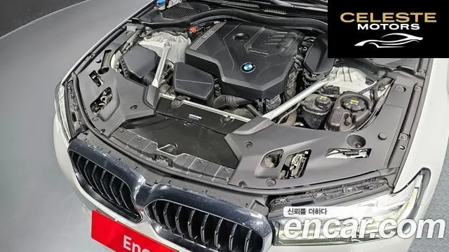 BMW Série 5 (G30) 520i Luxury 2022 — photo 6 sur 26