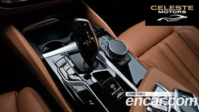 BMW Série 5 (G30) 520i Luxury 2022 — photo 9 sur 26